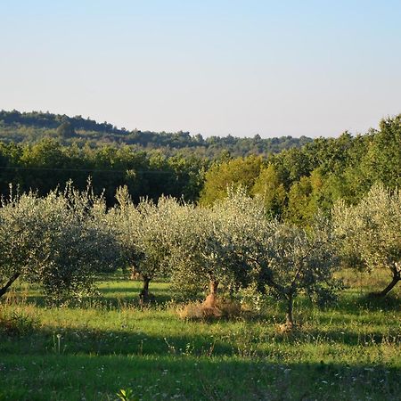 Villa Olivetta By Istrian Country Houses Barat  Ngoại thất bức ảnh