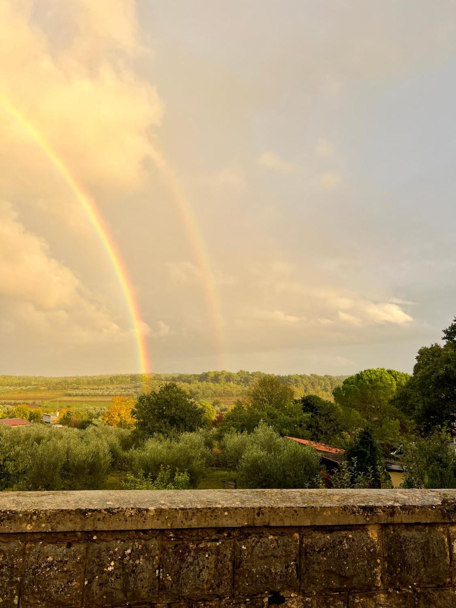 Villa Olivetta By Istrian Country Houses Barat  Ngoại thất bức ảnh