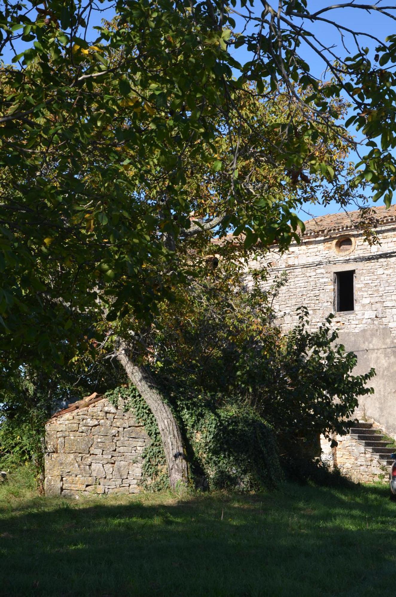 Villa Olivetta By Istrian Country Houses Barat  Ngoại thất bức ảnh