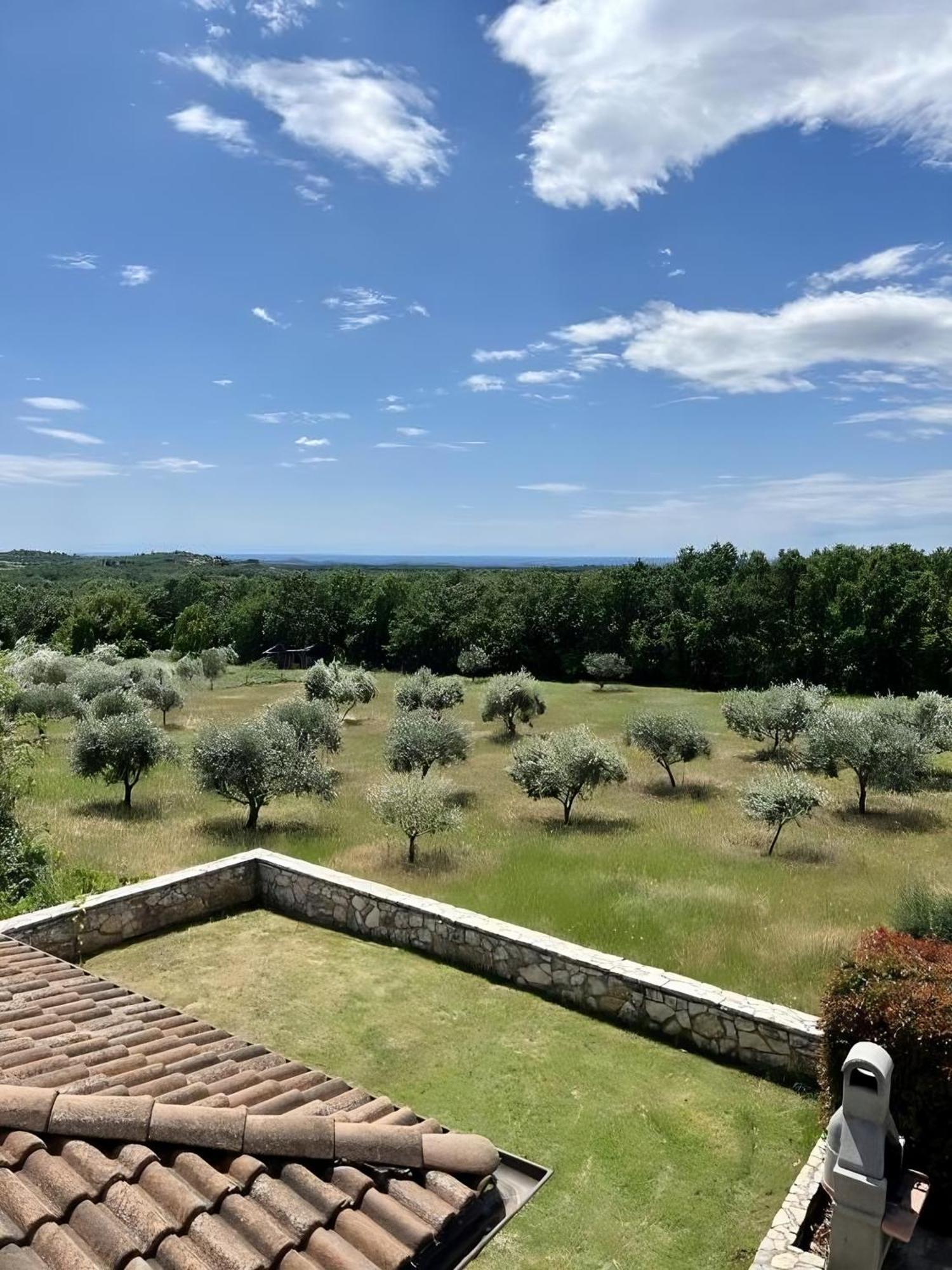 Villa Olivetta By Istrian Country Houses Barat  Ngoại thất bức ảnh