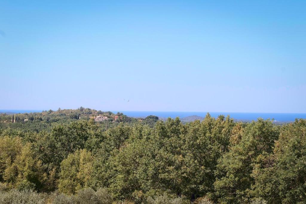 Villa Olivetta By Istrian Country Houses Barat  Ngoại thất bức ảnh